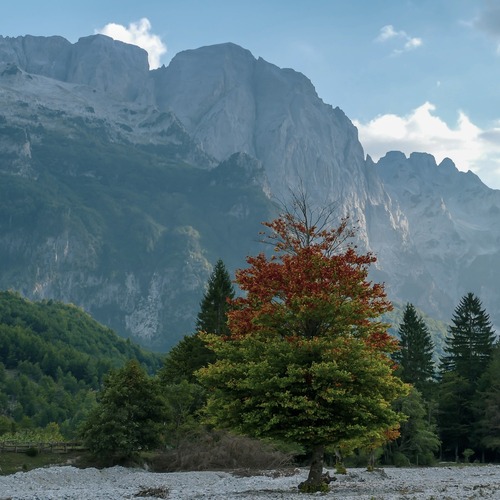 north-albania-local-destination